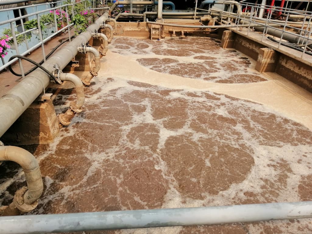 Cung cấp hóa chất vi sinh môi trường